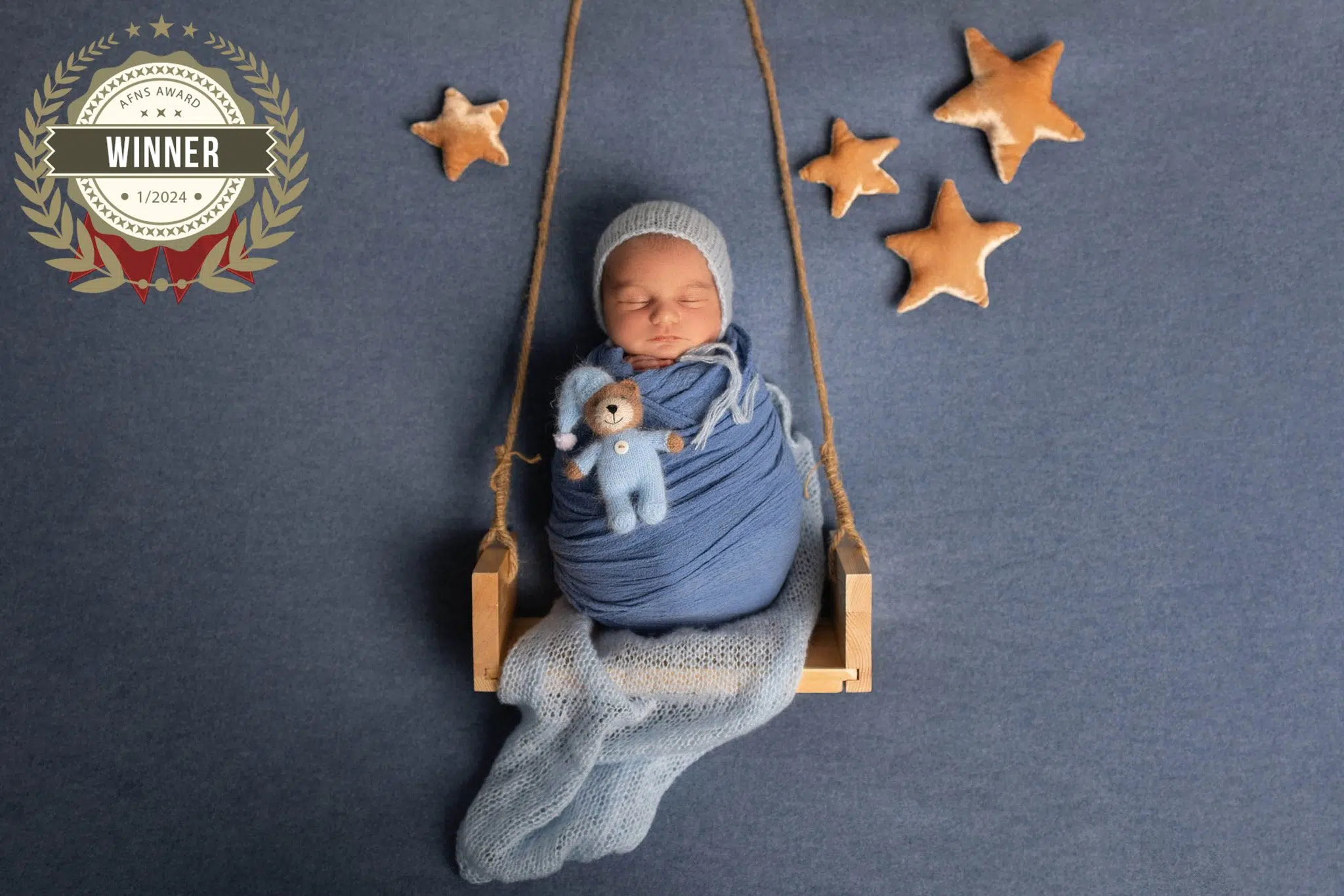 Auszeichnung | Neugeborenenfotograf | AFNS Award